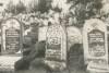 Some gravestones